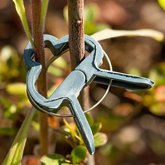 ��ǰ�̹���