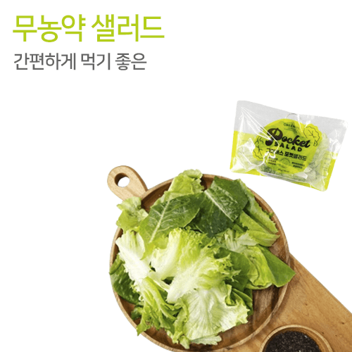 간편하게 먹기 좋은 무농약 샐러드