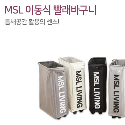 ƴ Ȱ , MSL ̵ ٱ