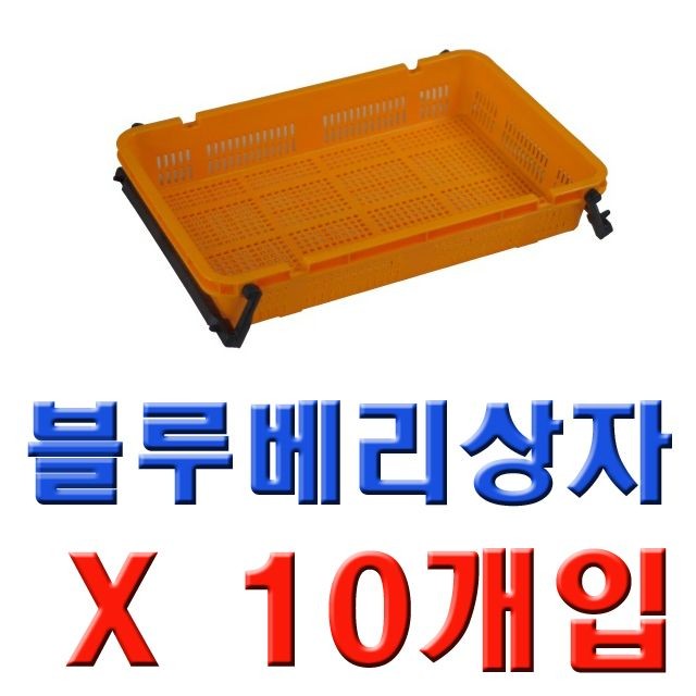 DI 블루베리상자 小 (어상자4호)(10개)