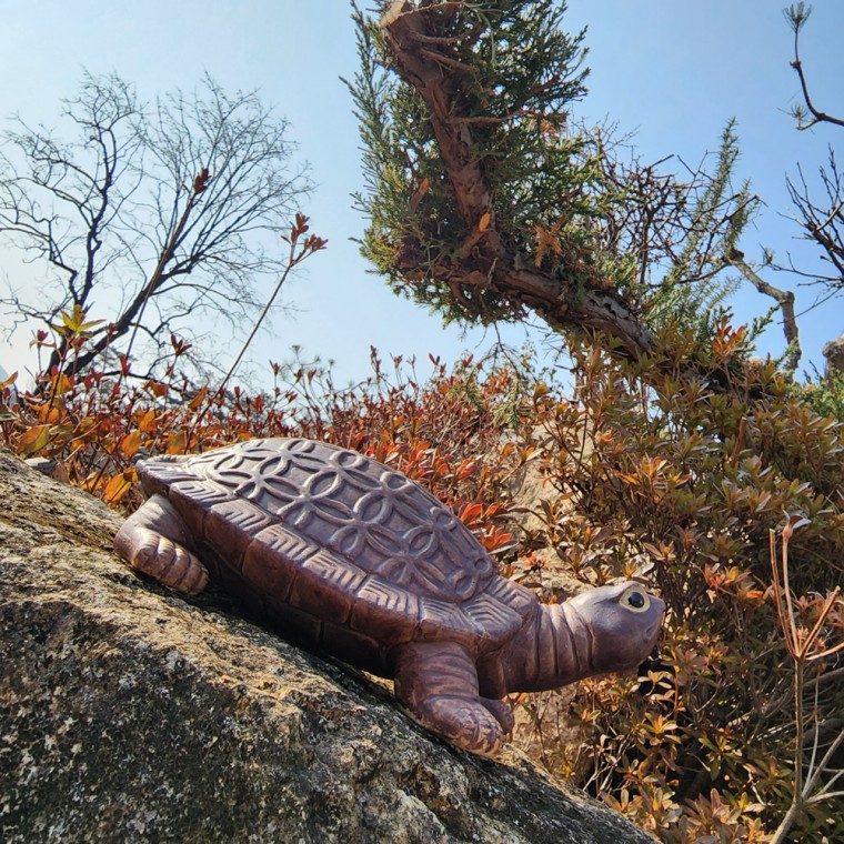 생기 도자기 재물운 돈거북 26cm 개업선물 수맥차단 무병장수 풍수 인테리어