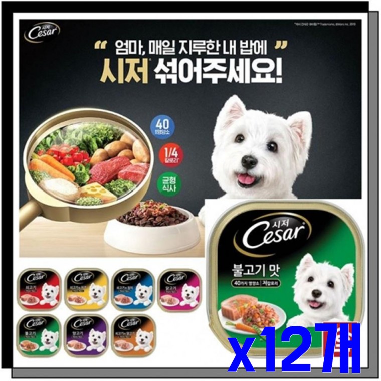 애견용 간식캔 불고기100g x12개 애견캔 통조림간식