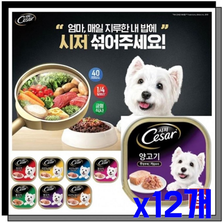 애견용 간식캔 양고기100g x12개 반려동물간식 애견캔