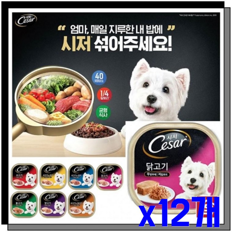 애견용 간식캔 닭고기100g x12개 애견캔 강아지간식