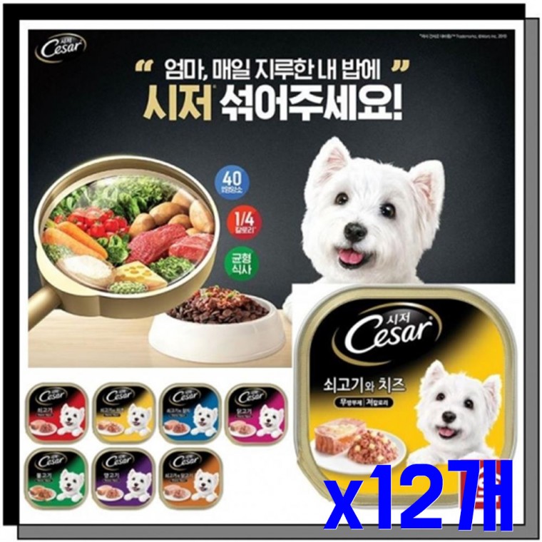 애견용 간식캔 쇠고기와치즈100g x12개 애견간식