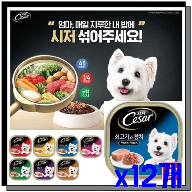 애견용 간식캔 쇠고기와참치100g x12개 반려동물간식