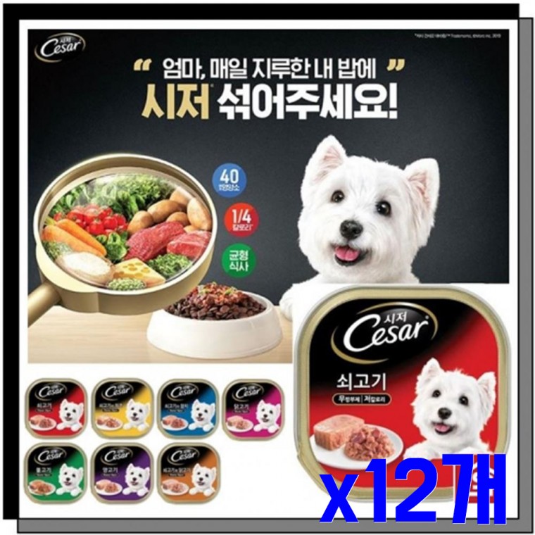 애견용 간식캔 쇠고기100g x12개 통조림간식 애견간식