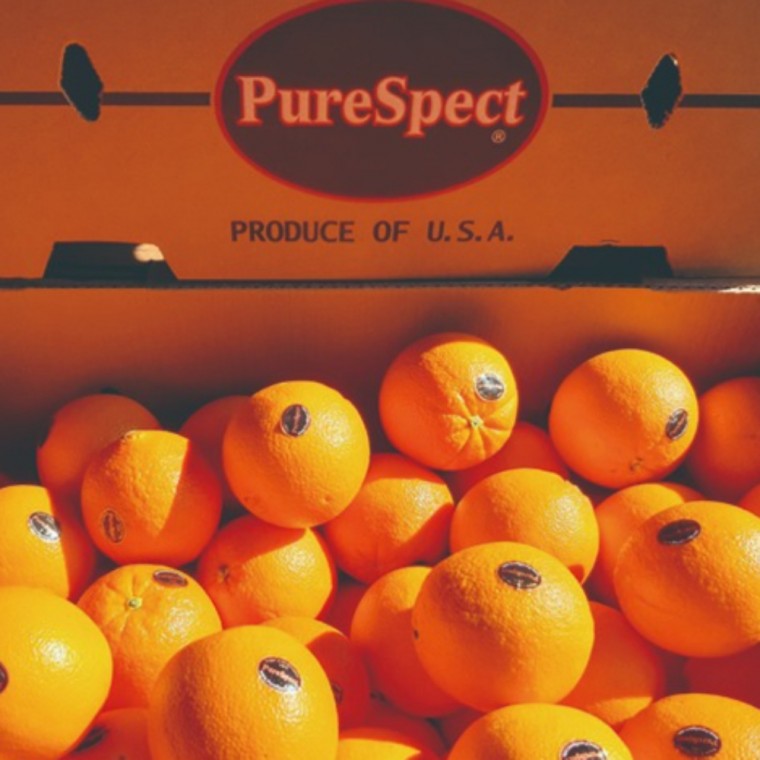 오렌지 미국산 퓨어스펙 고당도오렌지 20개 내외
