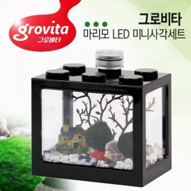 LED 조명 미니 어항(블랙) 마리모 새우 키우기 수족관 수조 모어항 모미니 물고기