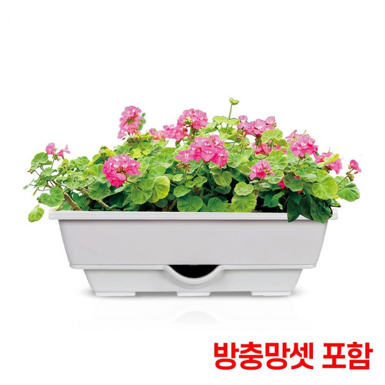 자동급수 플라스틱 화분 대형화분 물주기 텃밭 가꾸기 겨울 철화분 관리