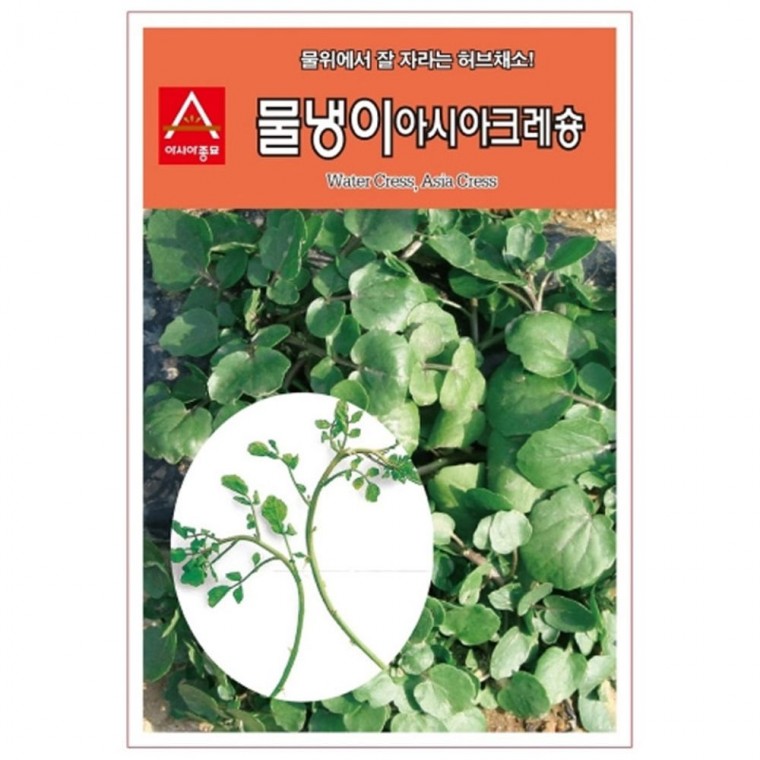 물냉이 씨앗 아시아 크레숑 1g 허브 종자 가지 종묘 모종