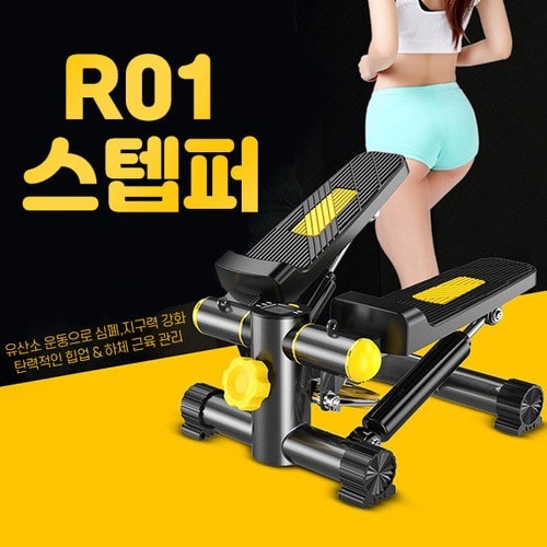 R01 스텝퍼