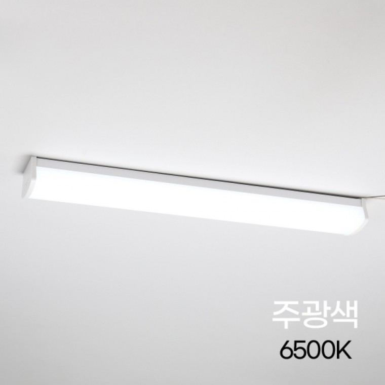 욕실등 LED 방습형 25W 주광 6.5K KS 600mm