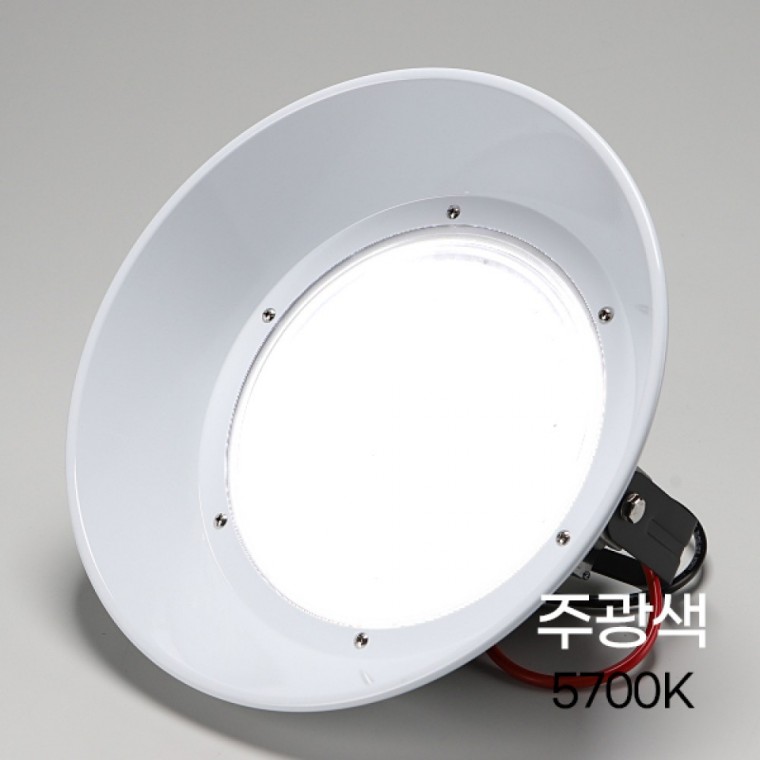 공장등 LED 고효율 100W DC 주광 갓포함HTKC