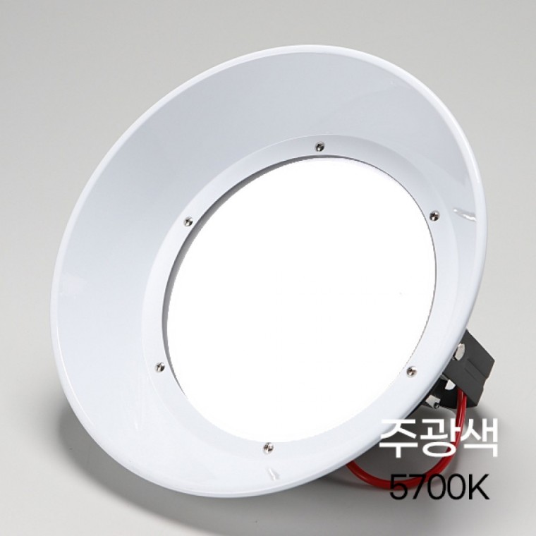 공장등 LED 고효율 200W DC 주광 갓포함HTKC