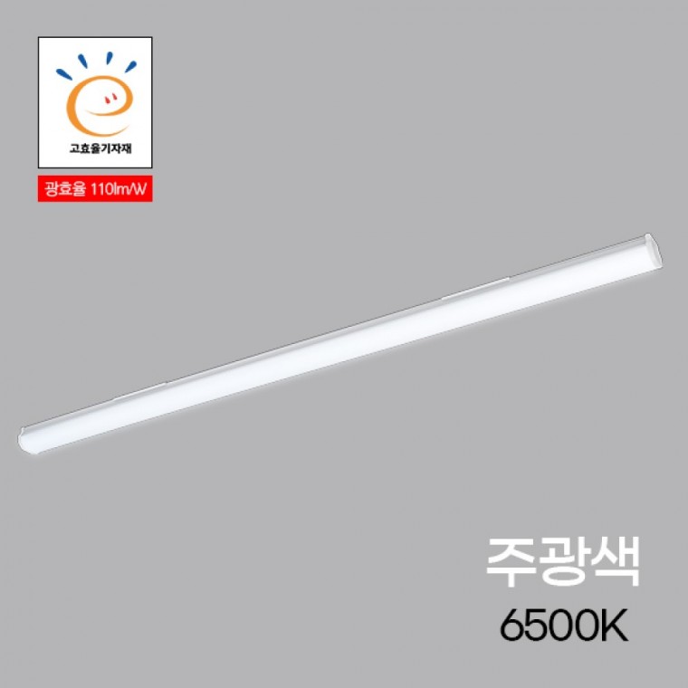 주차장등 LED 고효율 MEGA 40W 주광 1200 KS