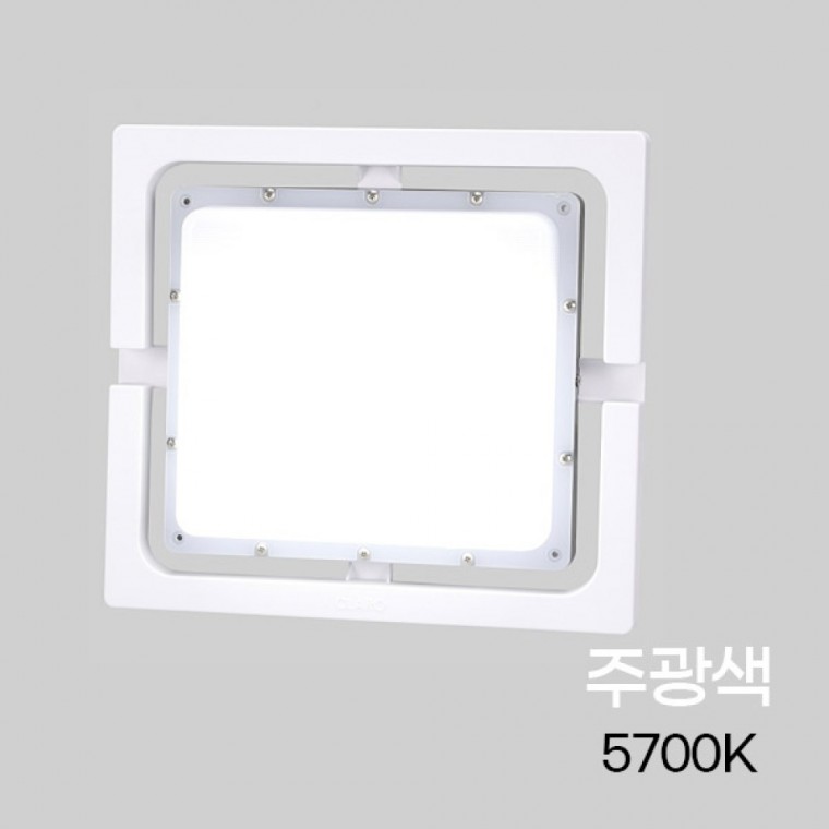 주차장진입 벽등 LED 고효율 슬림 WT 40W 주광 DLL740