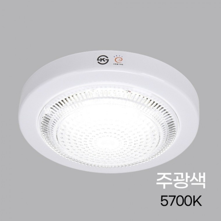 원형 LED 직부등 고효율 15W 주광