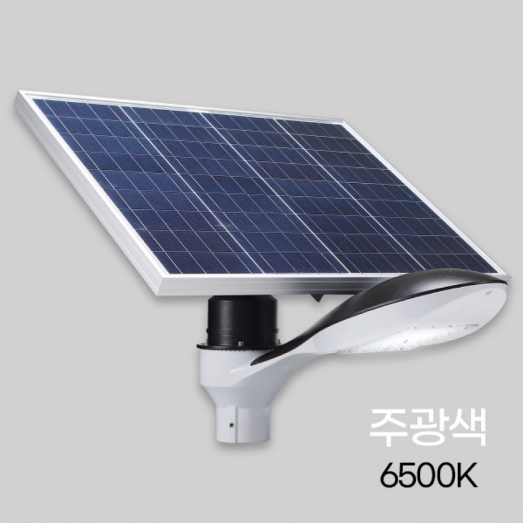 태양광 LED 정원등A 50W급 돌고래 주광