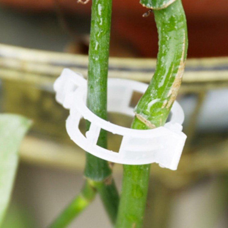 누카 원예 식물 줄기 세우기 고정클립 50P 식물고정클립