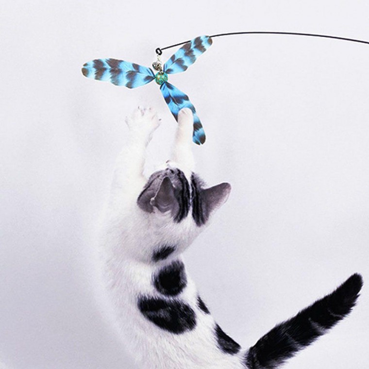 누카 PET 고양이 낚시대 360도 회전 깃털 카샤카샤 사냥