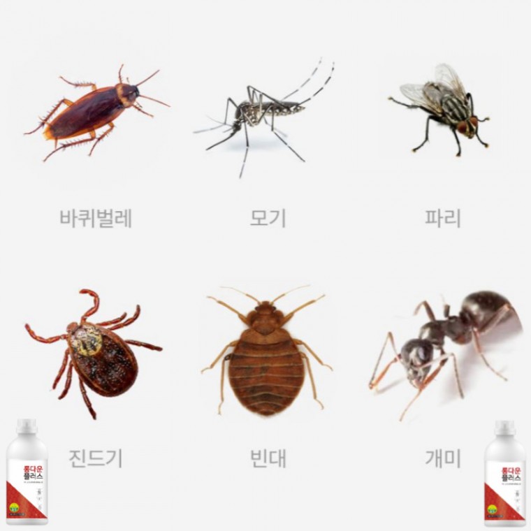 롱다운플러스 해충방역 방제 바퀴벌레약 빈대 모기 진드기 살충제