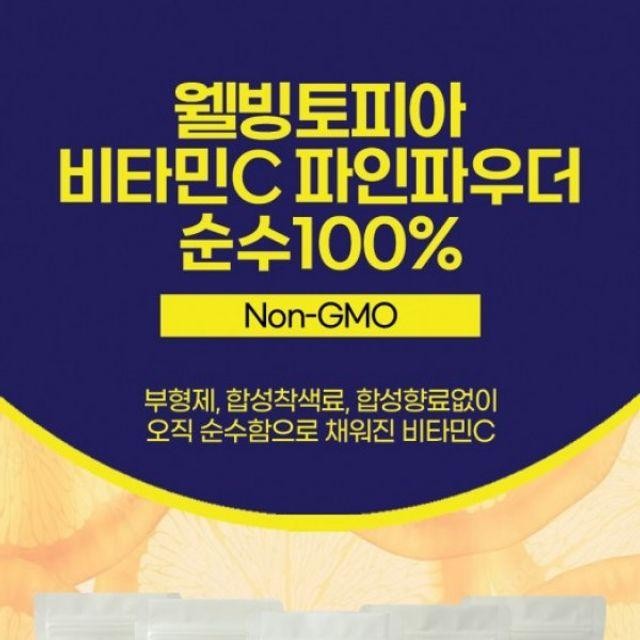 가루 웰빙토피아 고용량 메가 500g100g5팩 분말 비타