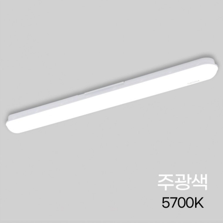 PL 등기구 LED NEW 30W일자 주광