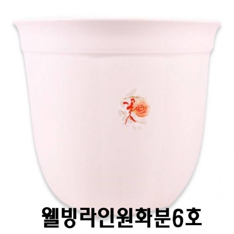 텃밭 (set)웰빙라인원화분6호 29.5x24.5cm 5개 원예