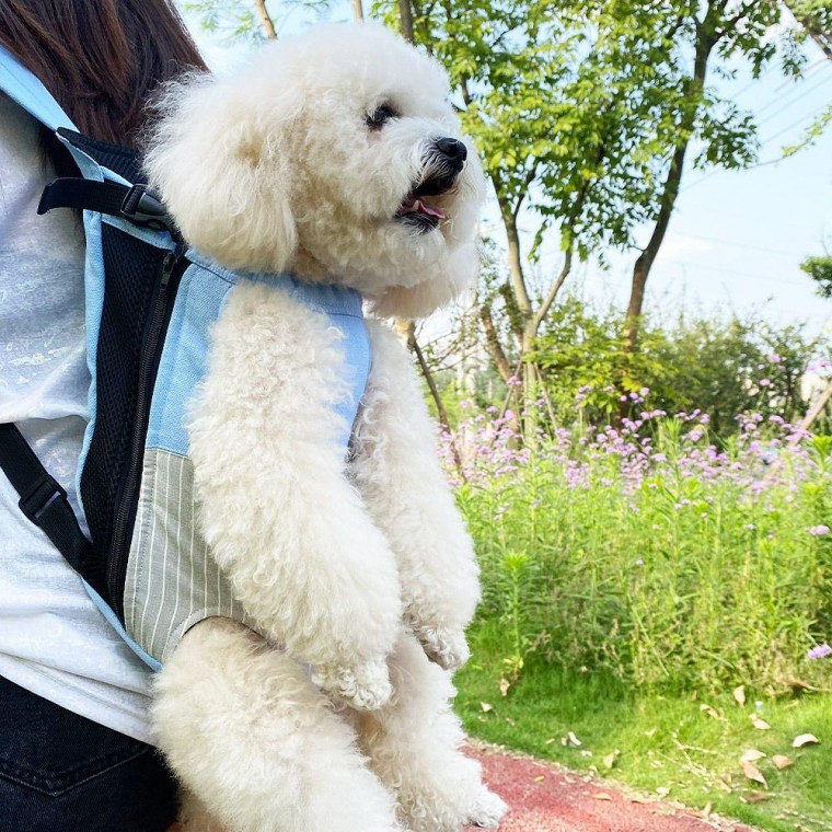 이동가방 포대기 앞가방 반려견 강아지