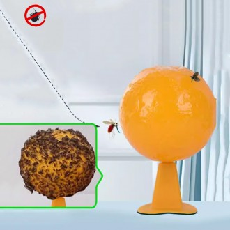   ĸƮ ĸ ĸ  ̺