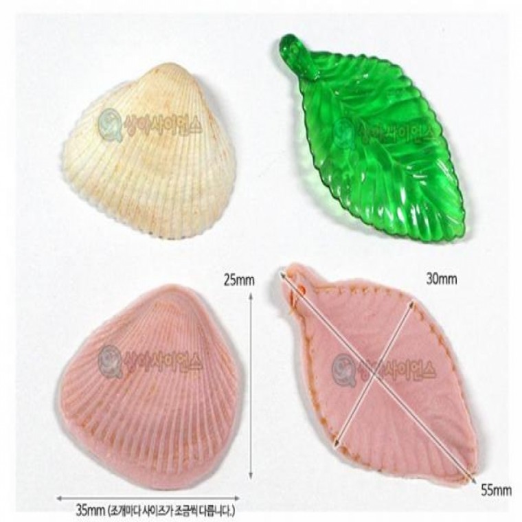 나만의 조개 나뭇잎화석 만들기 (10인세트)
