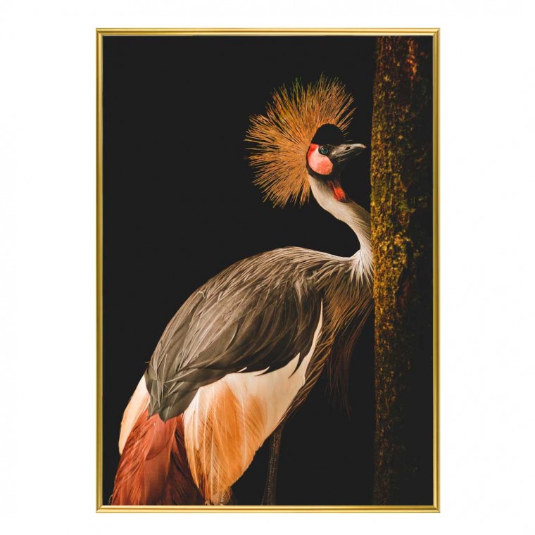 심플 인테리어액자 Grey Crowned Crane A2사이즈