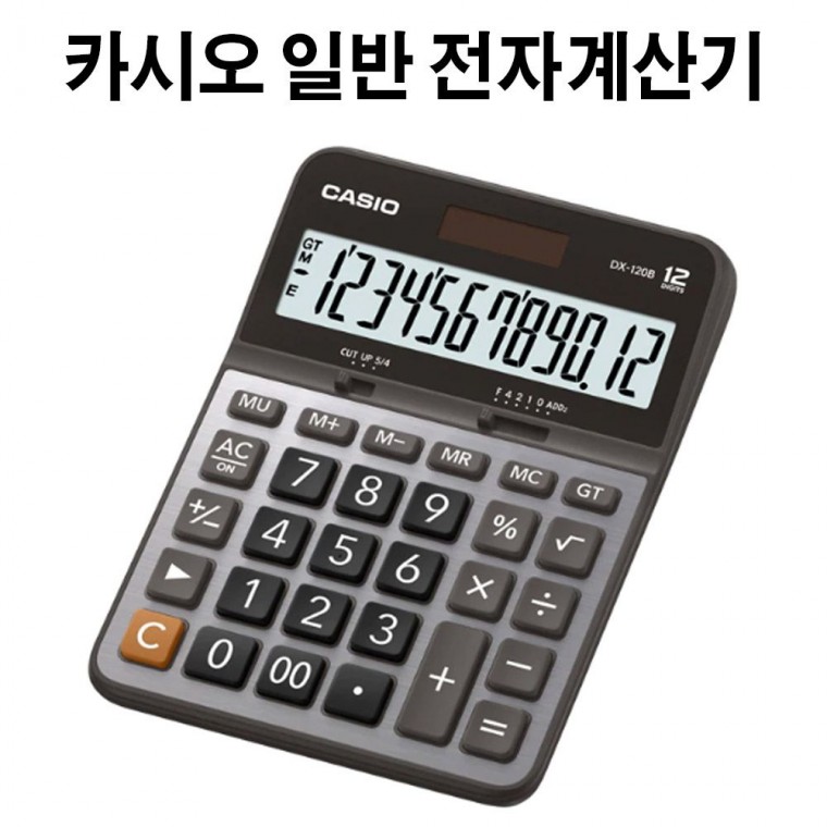 카시오 일반 전자 계산기 DX-120B