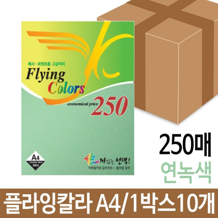 플라잉칼라 250매 80g A4 용지 복사 색지 인쇄 연녹색