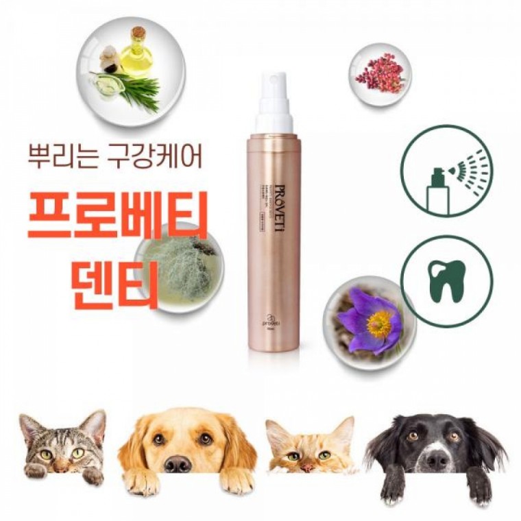 반려동물 입안관리 고양이 간식 치아에센스