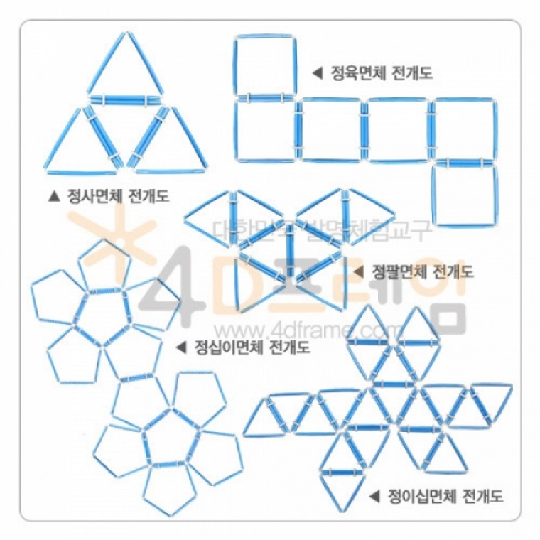 포디랜드 정다면체 전개도 SET P00000MT / 4DM-015