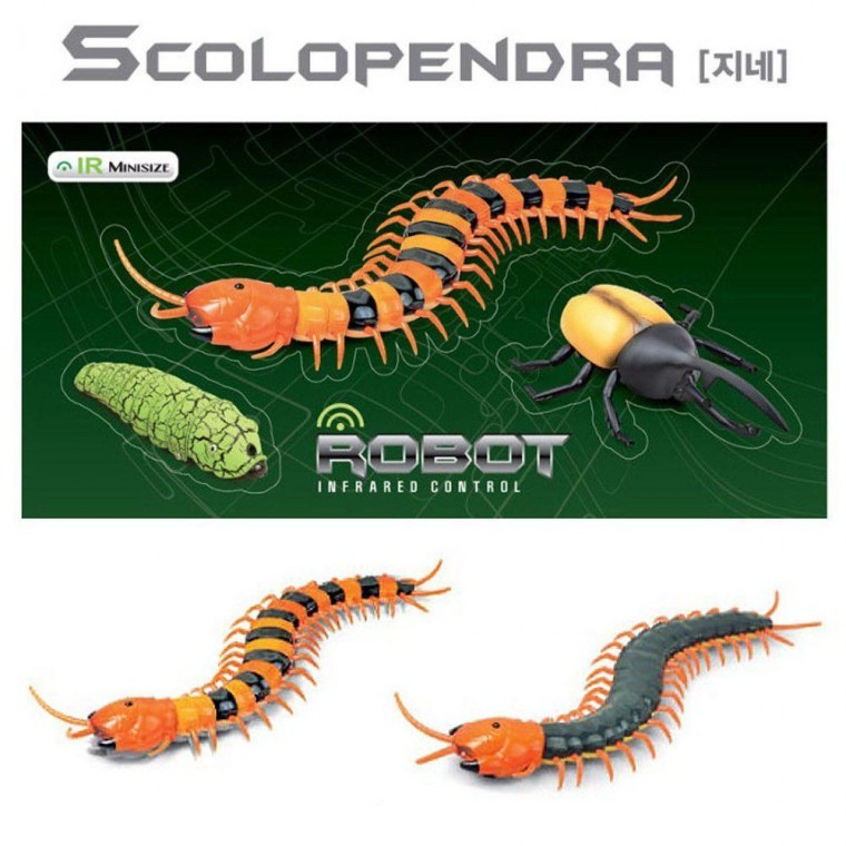 1개 랜덤발송 RC 지네 SCOLOPENDRA