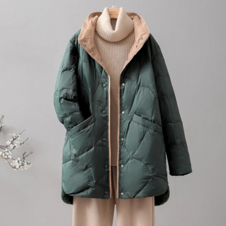 ĪƯ   ̳ ̵Ʈ 淮е 3D ü  