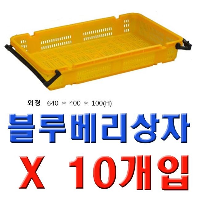 DI 블루베리상자 大 (어상자5호)(10개)