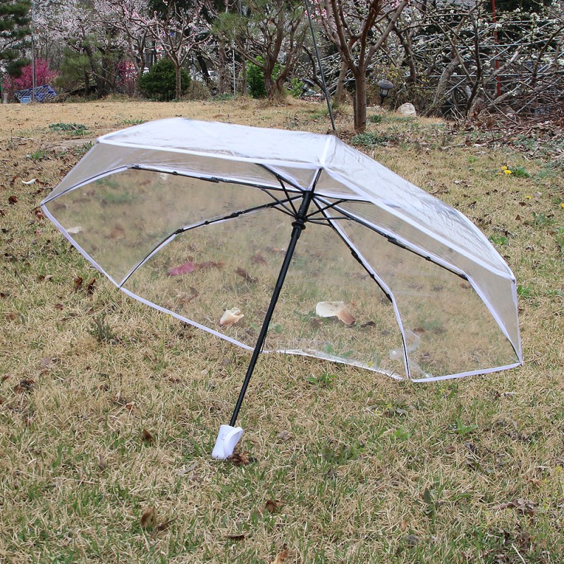 투명 자동 3단 우산