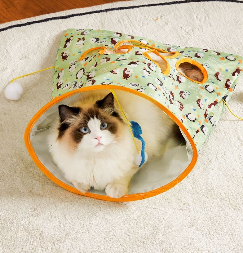 고양이 터널 장난감