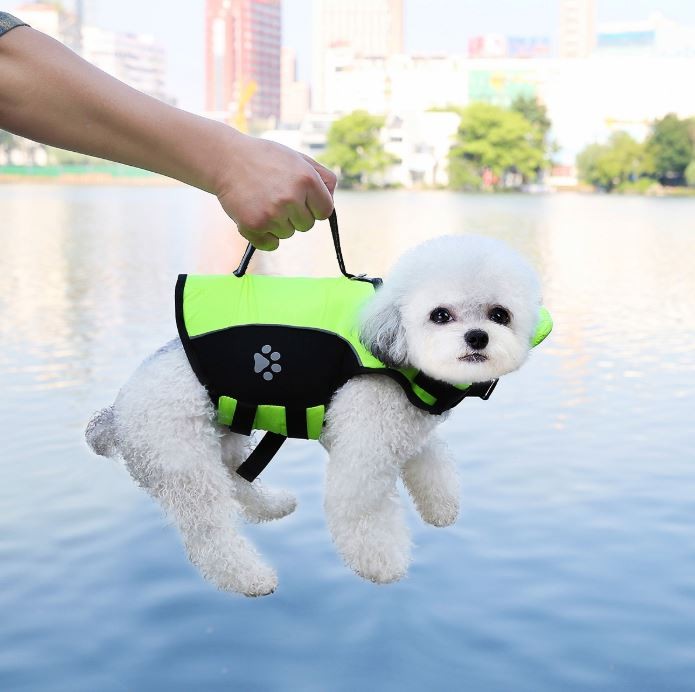 애견 구명 조끼