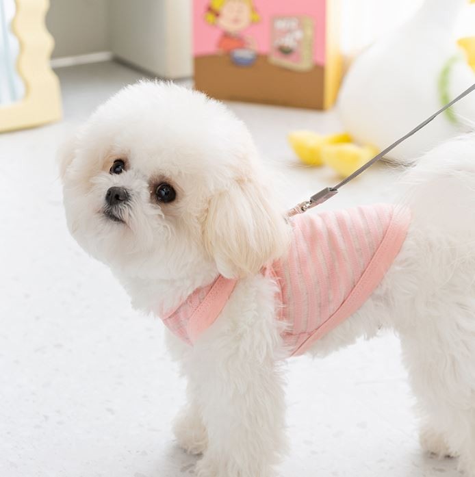 강아지옷