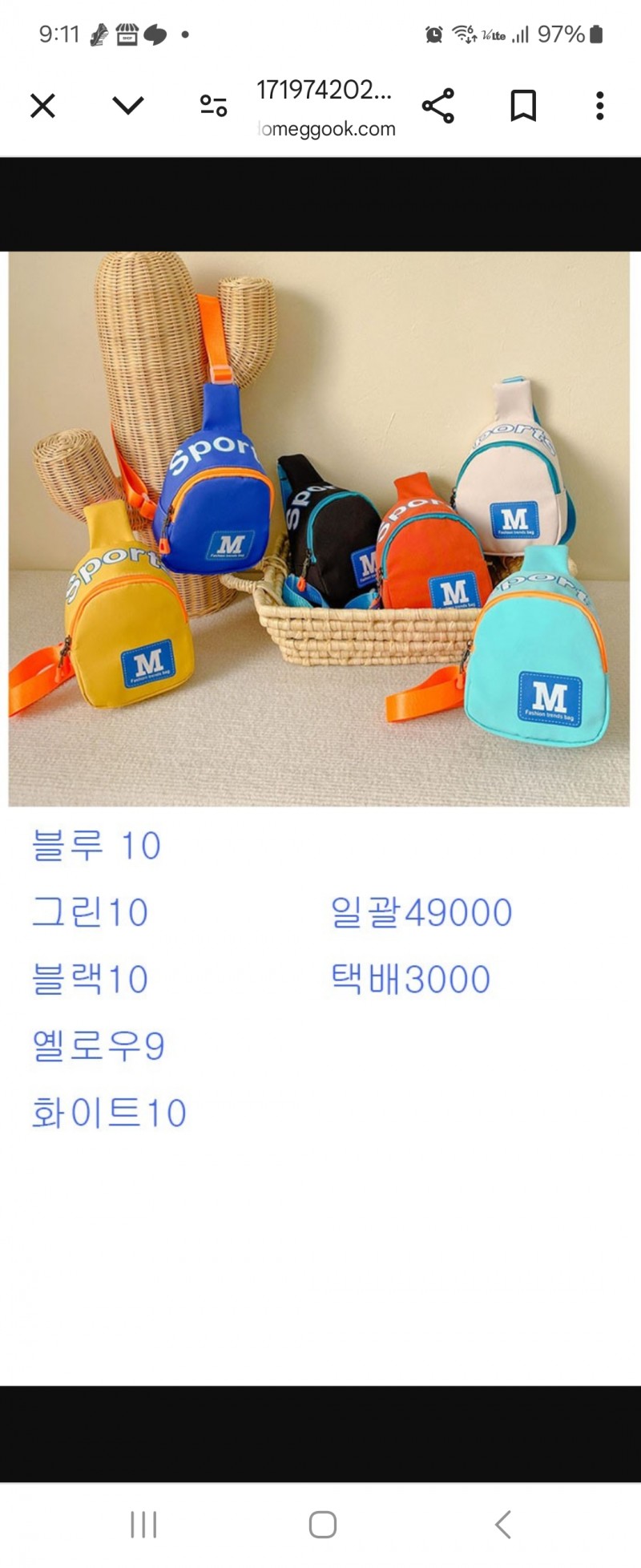 휴대폰가방