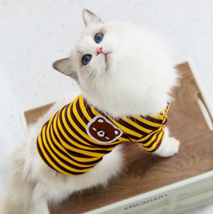 강아지옷