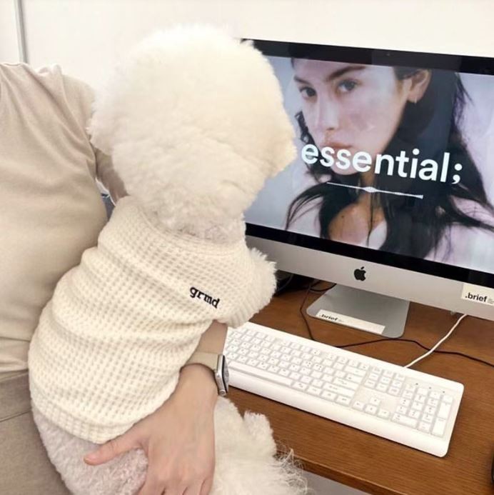 강아지옷