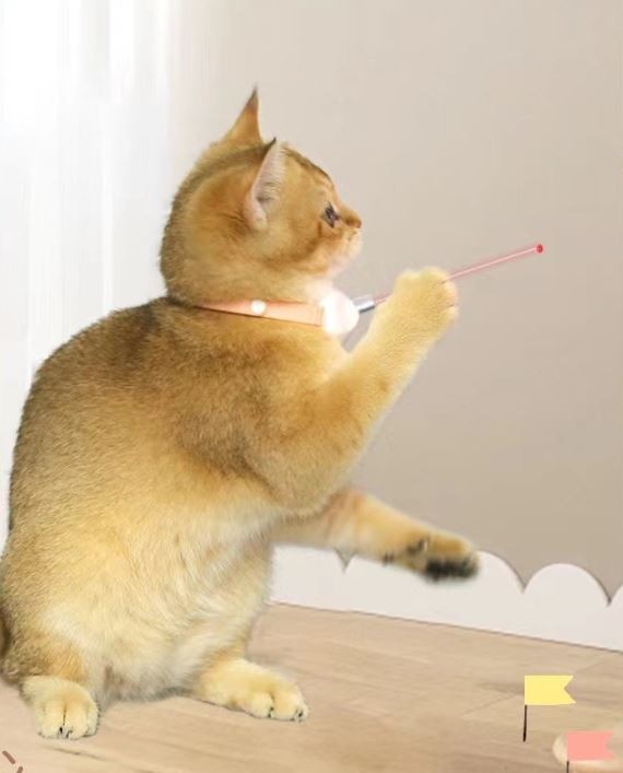 고양이 장난감