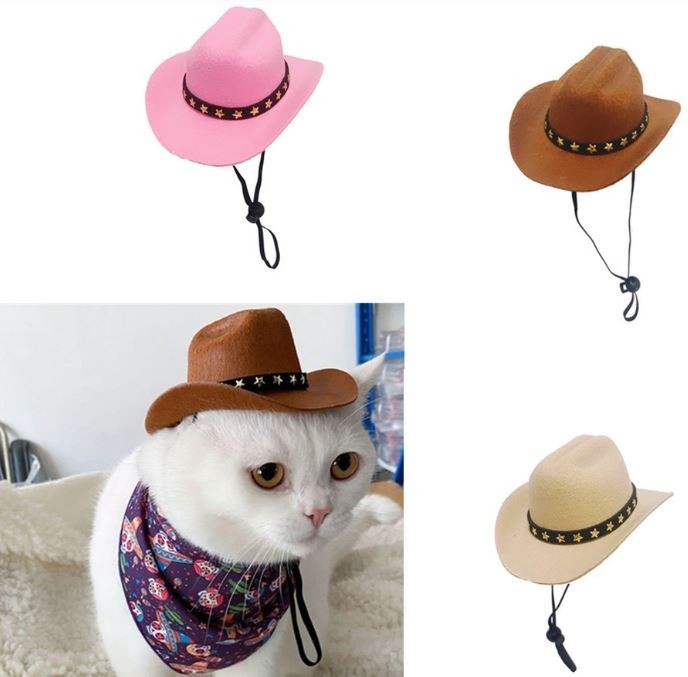 애견 모자