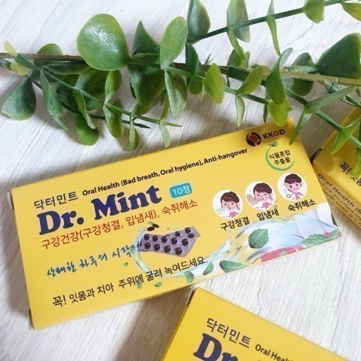 구강관리 닥터민트